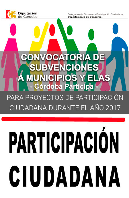 Convocatoria de Subvenciones a Municipios y ELAs para Proyectos de Participación Ciudadana durante el año 2017