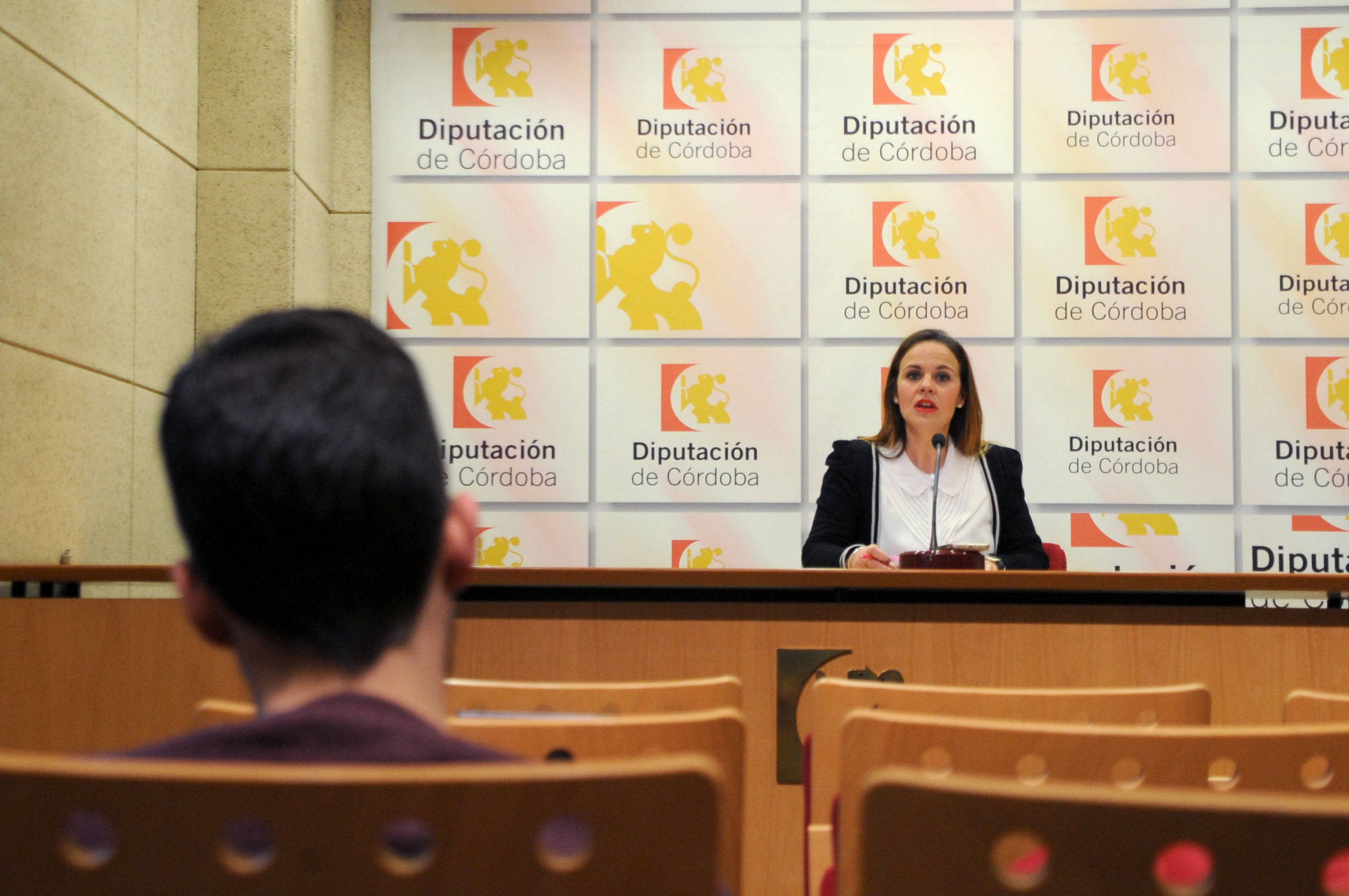La Diputación apuesta por el fortalecimiento de una ‘Córdoba Participativa’ a través de los PICs y la Junta Arbitral de Consumo.